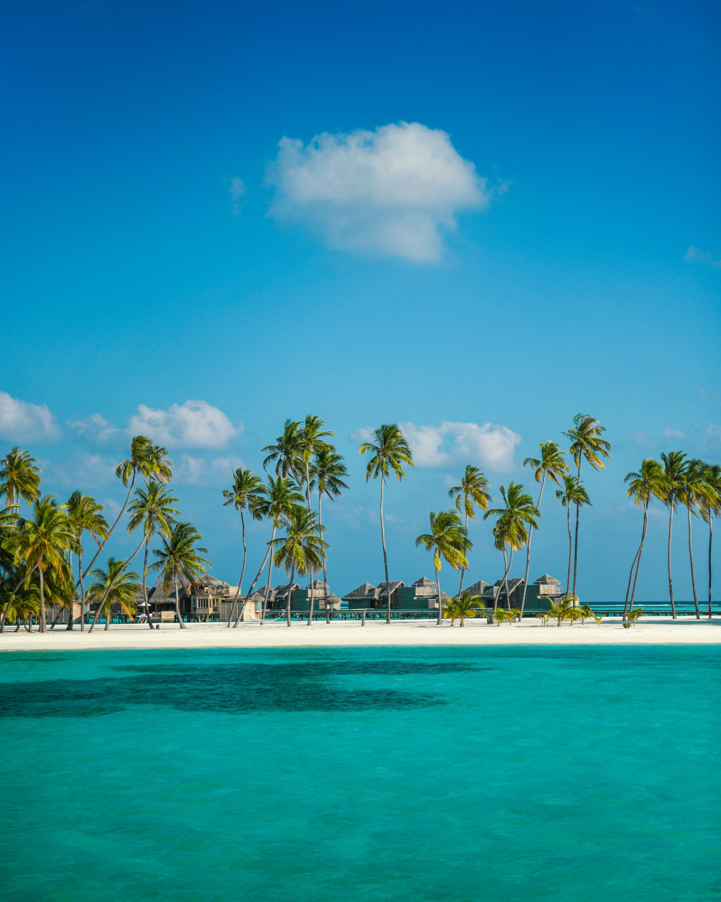 Local island vs resort island